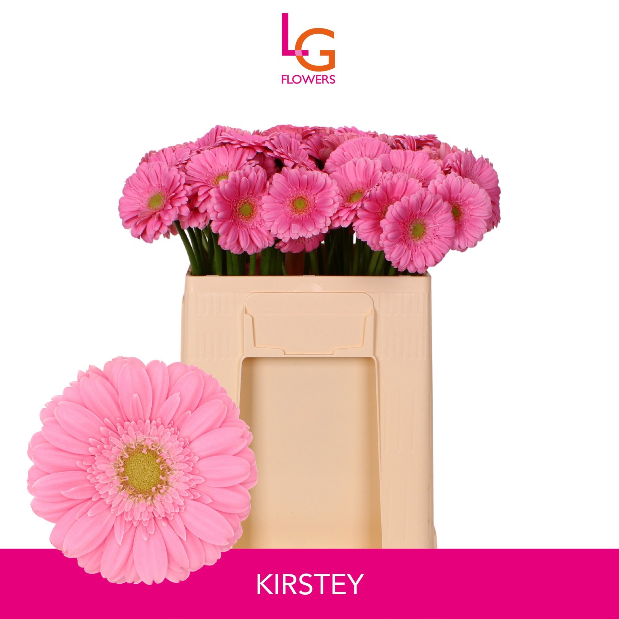 Ge Mi Kirstey