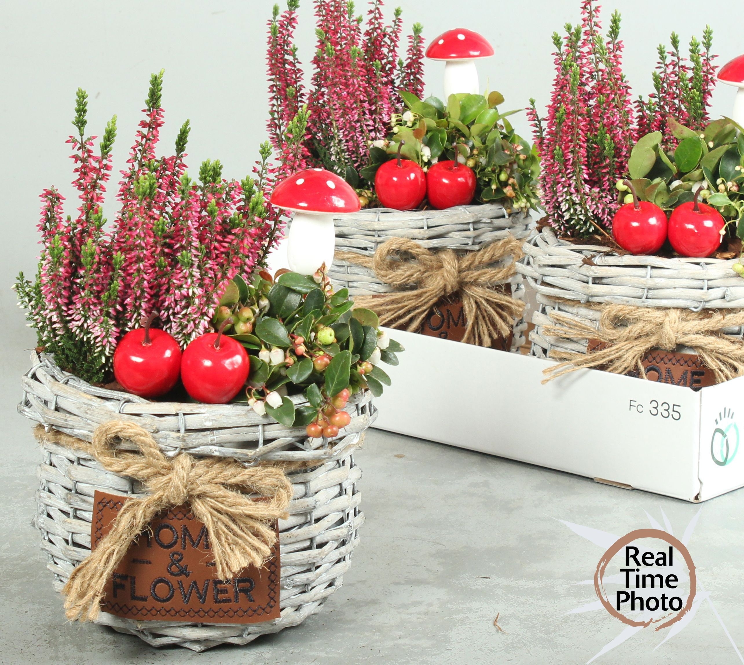 Arr Tuinplanten 19P 40cm