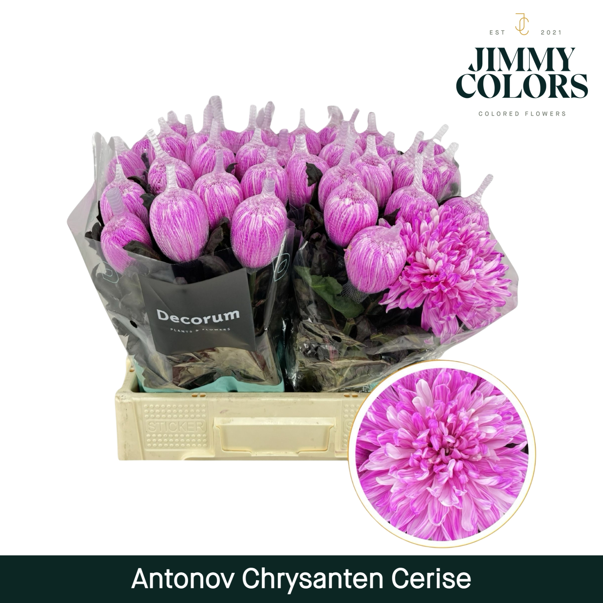 Chr G Antonov Cerise