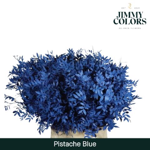 Pistache L50 Blue