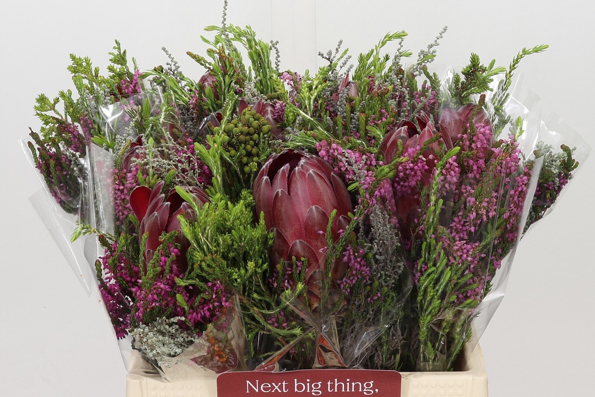 Protea Bouquet Per Bunch 40cm