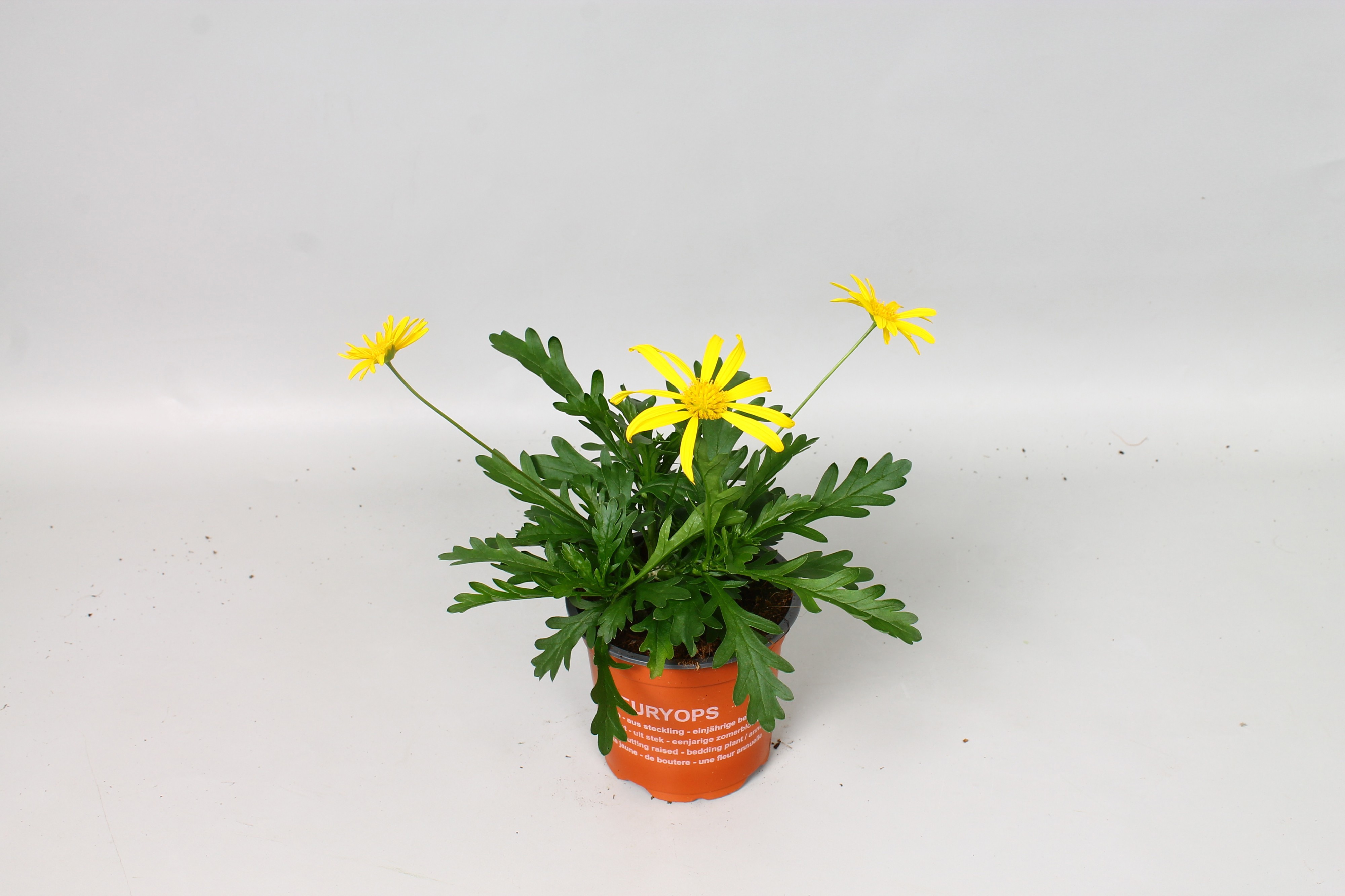 ferm living plant Plant Box | Two-tier | Various Colours