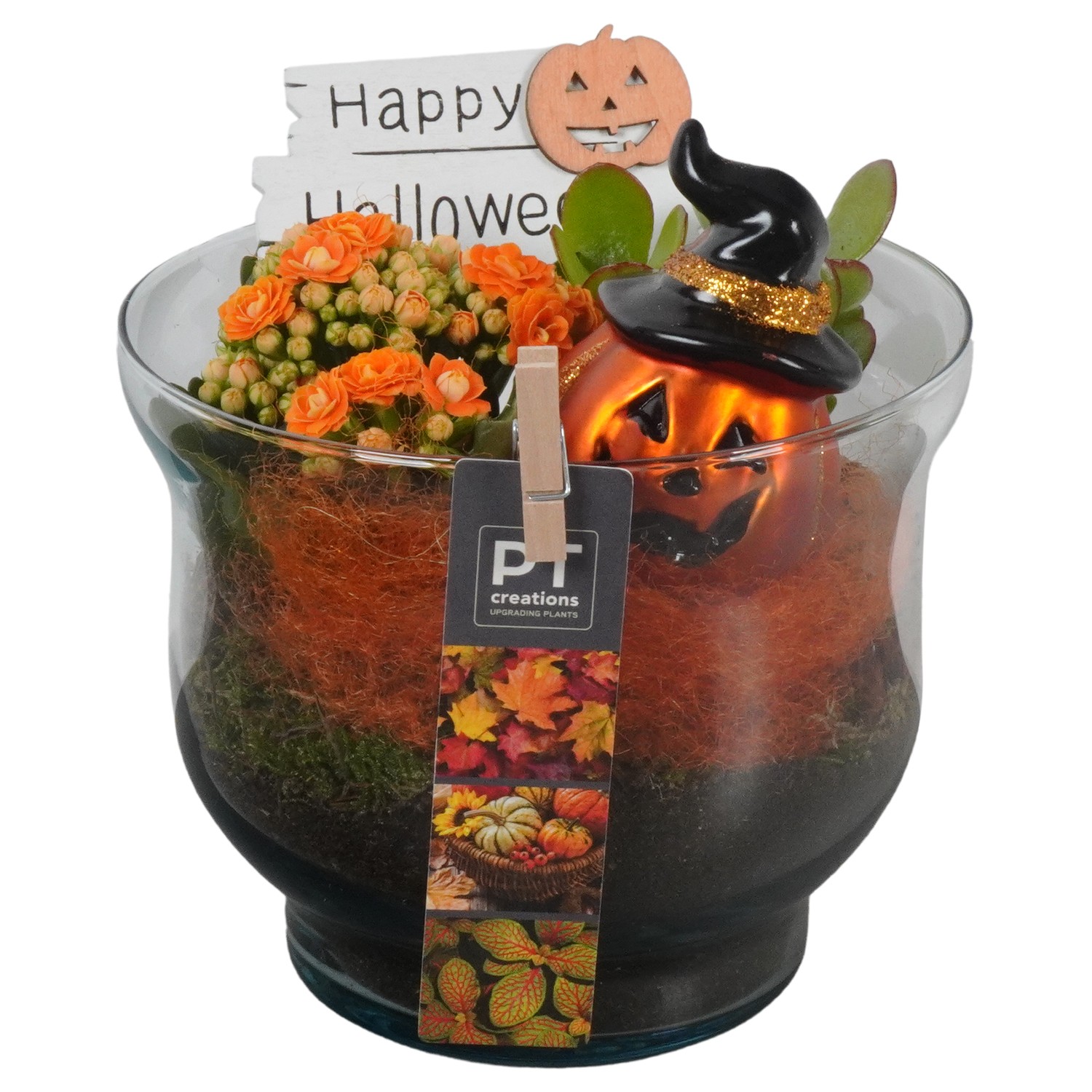 Picture of PTHL1902 Arrangement Halloween in glass vase P17 19CM