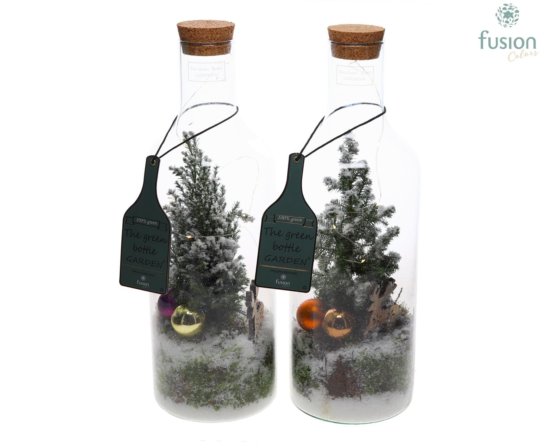 Afbeeldingen van X-Mas arrangement Green Bottle Medium FC-18.693FDH P15 43CM