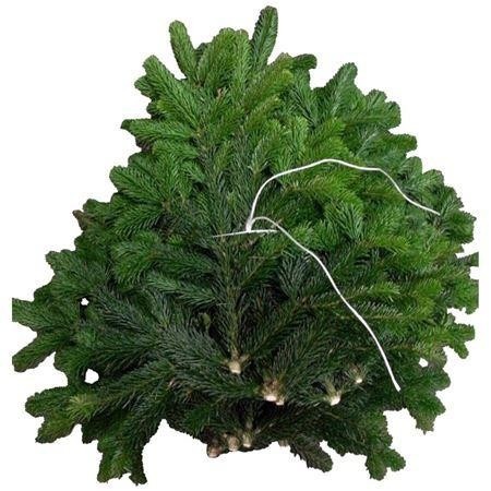 Christmas Greens Nordman