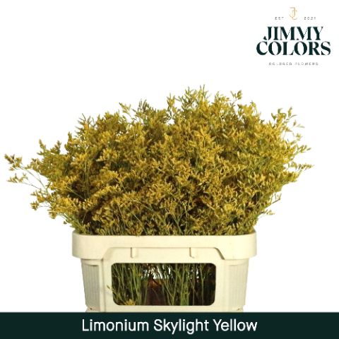 Lim Skylight L80 Yellow