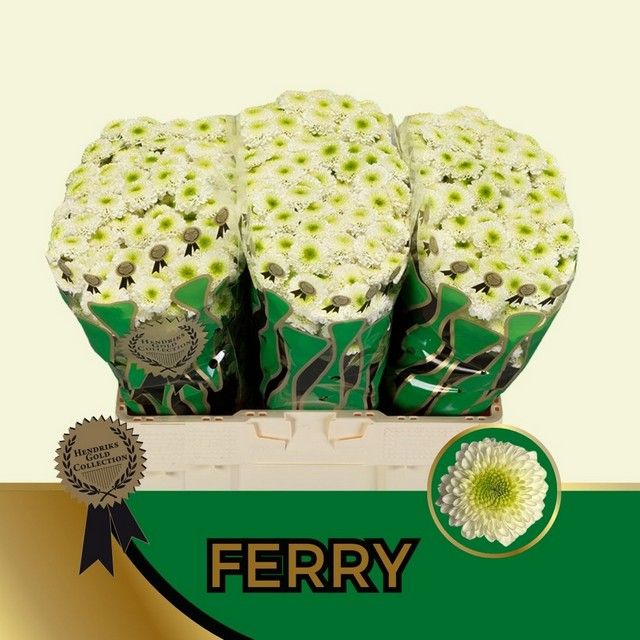 Chr San Ferry