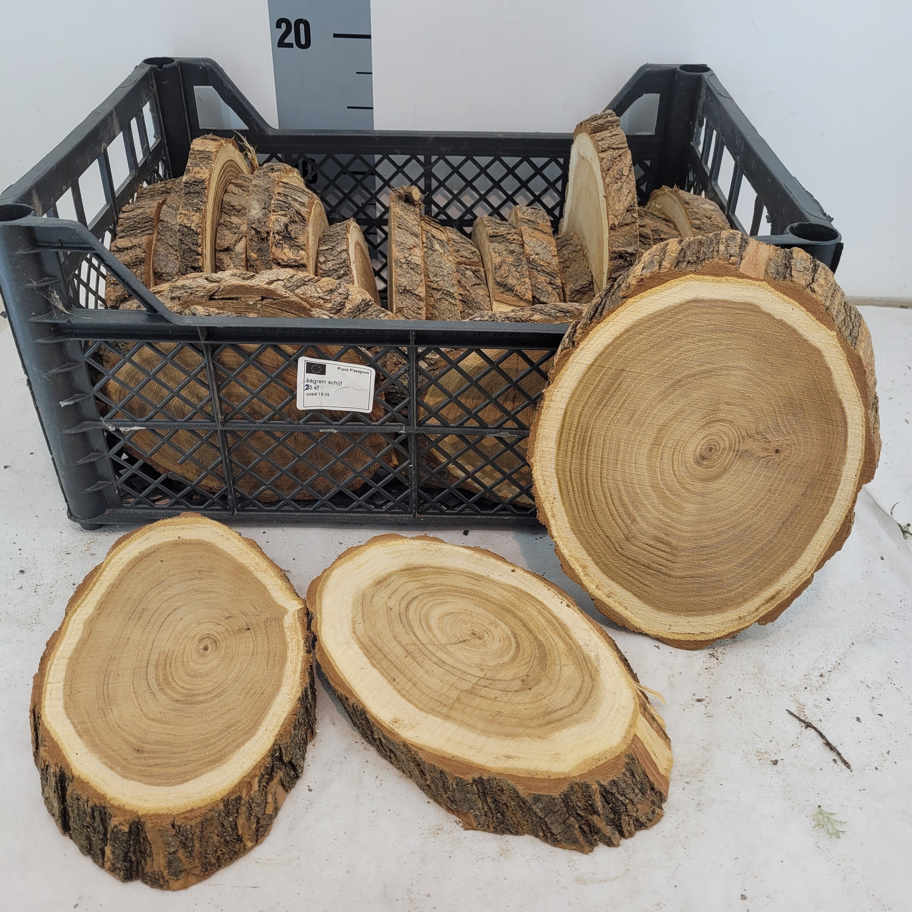 Huis en Tuindecoratie overig - Huis en Tuindecoratie