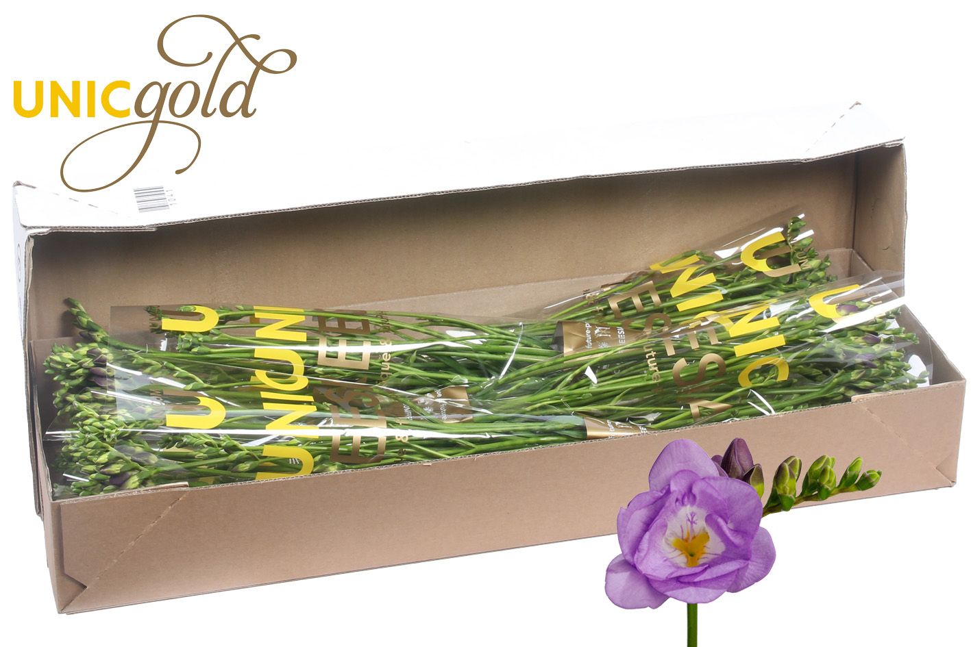 Ug Barendse - Allure 5x20 Box