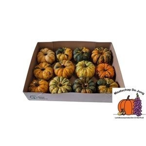 Cuc Lil Pump Ke Mon