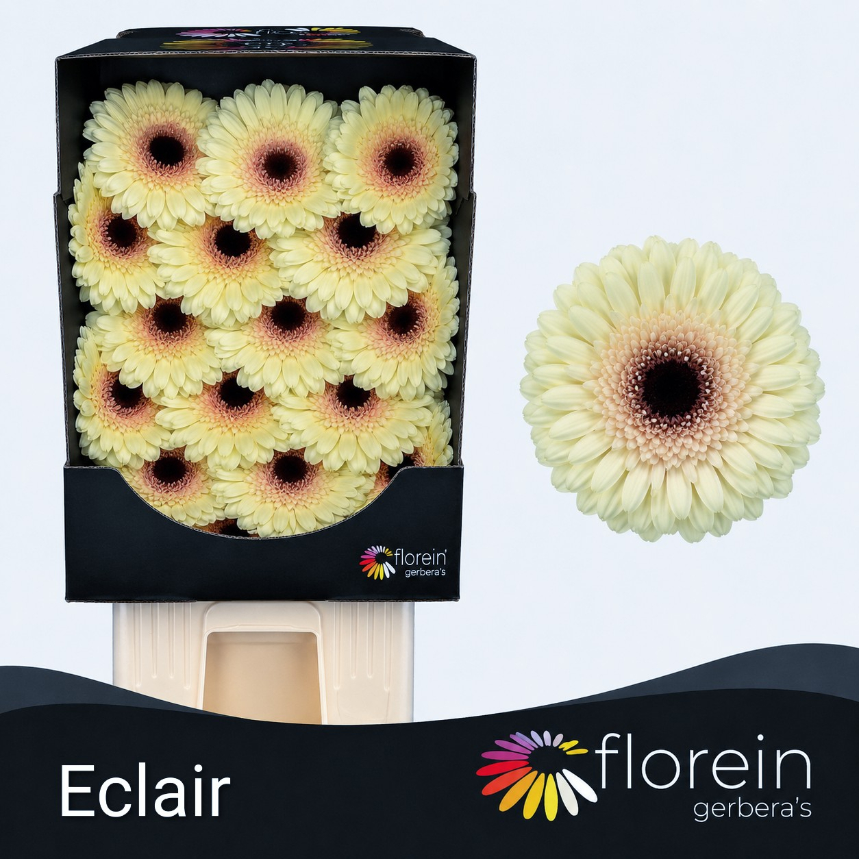 Ge Gr Eclair
