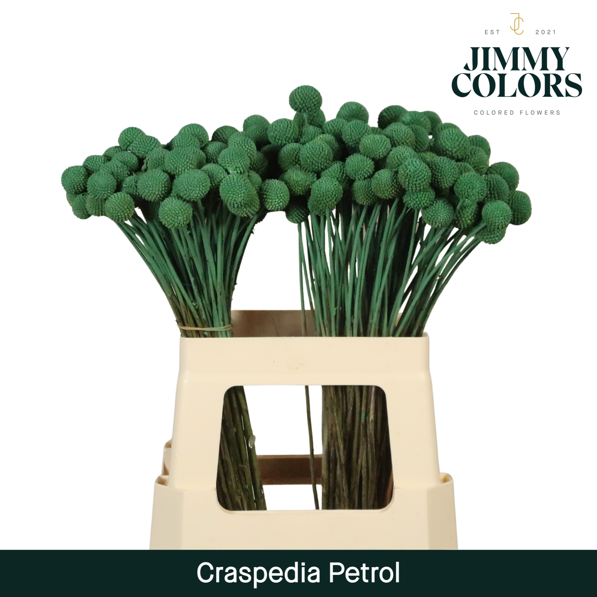 Craspedia L60 Petrol