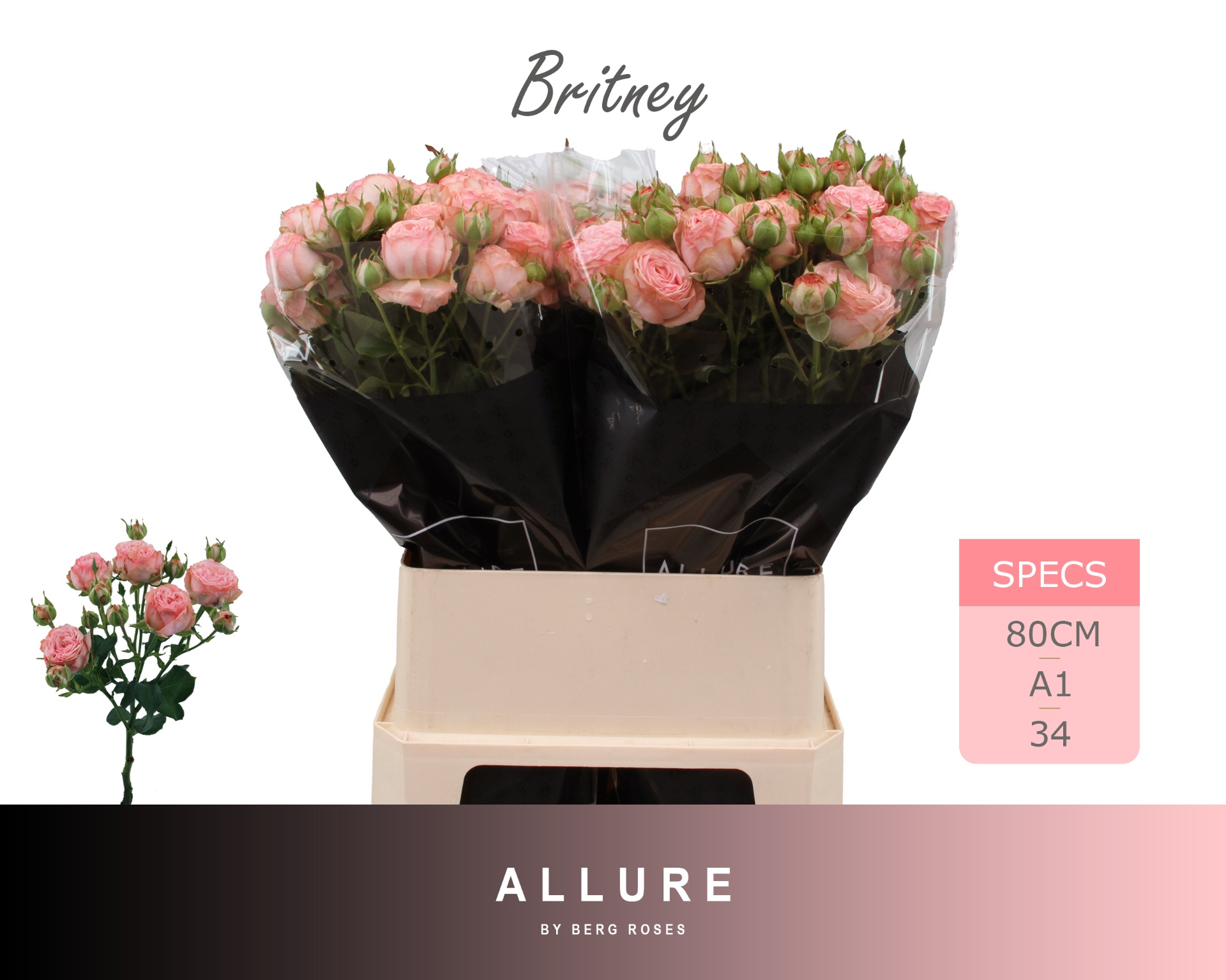 R Tr Britney 80cm