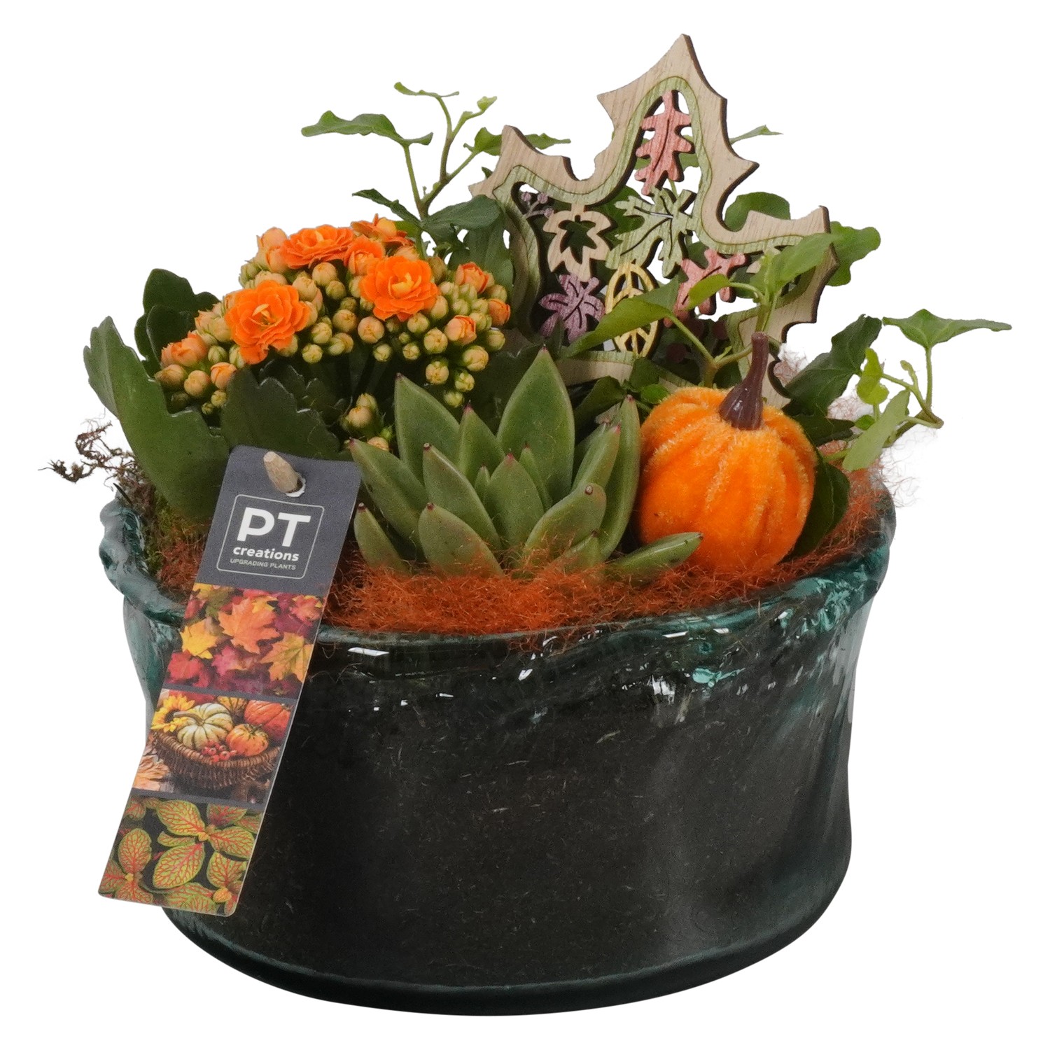 Picture of PTHG1722 Arrangement Autumn in glass bowl P18 20CM