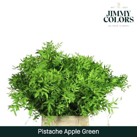 Pistache L50 Apple Green
