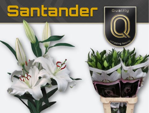 Li Or Santander