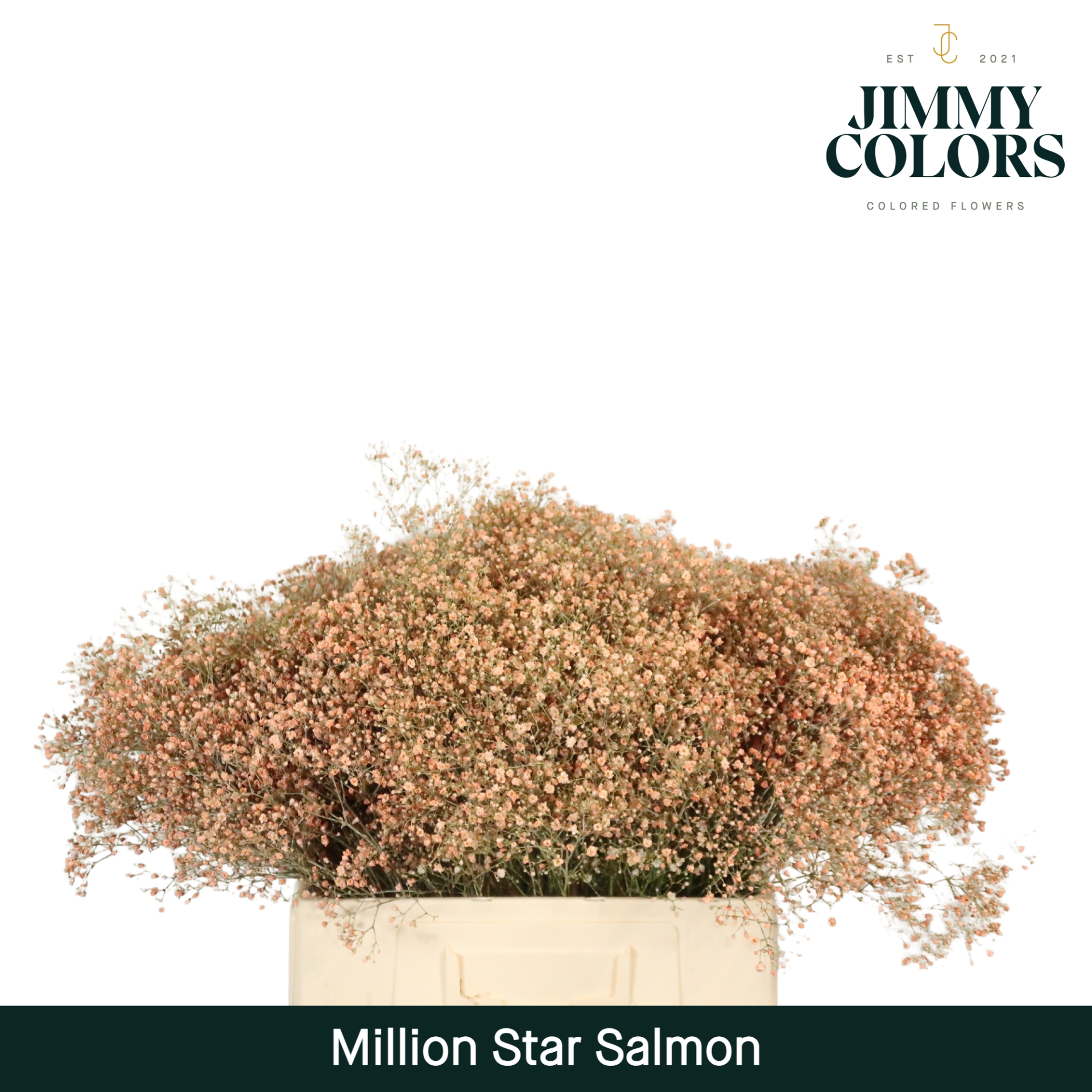 Gyps Million Star L60 Salmon