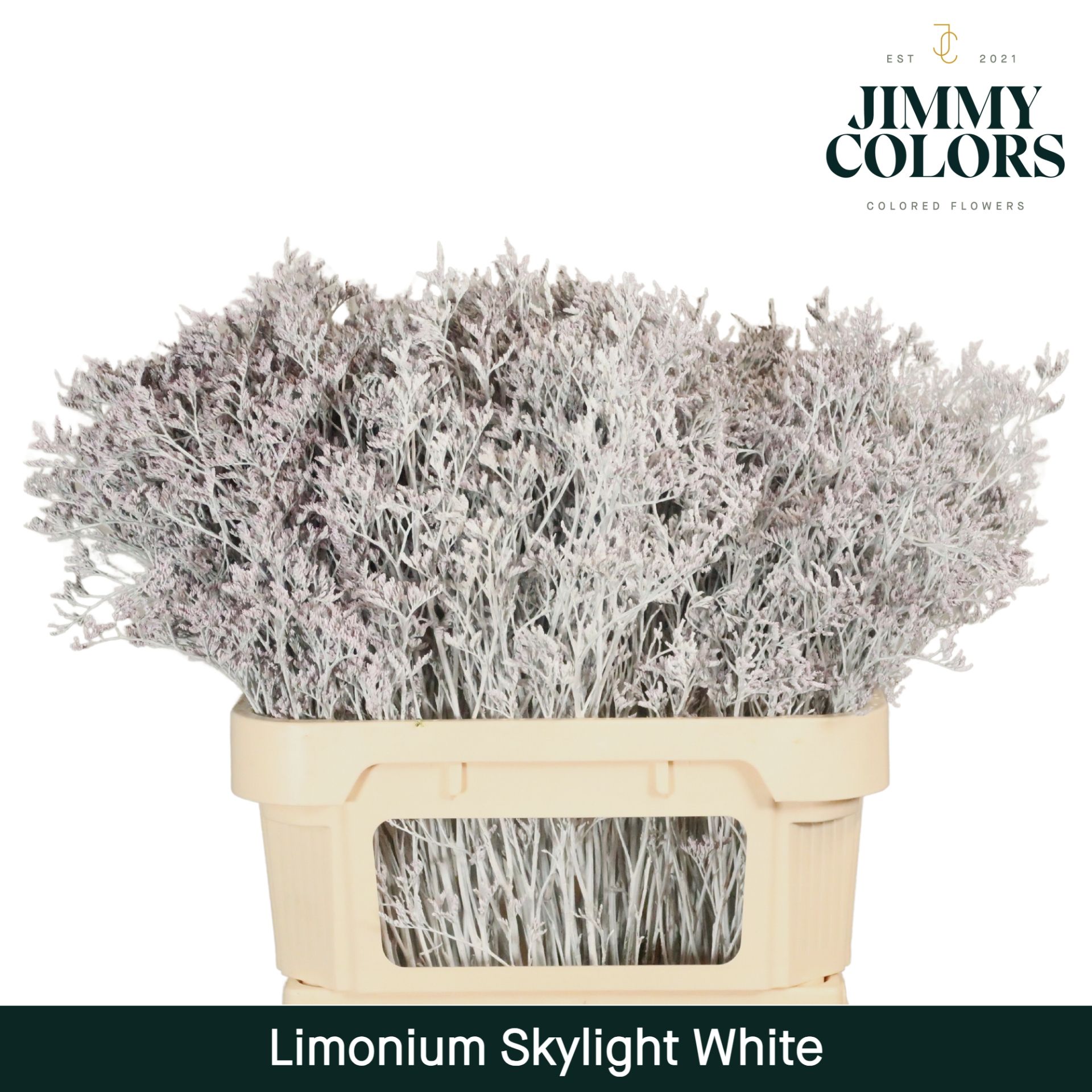 Lim Skylight L80 White