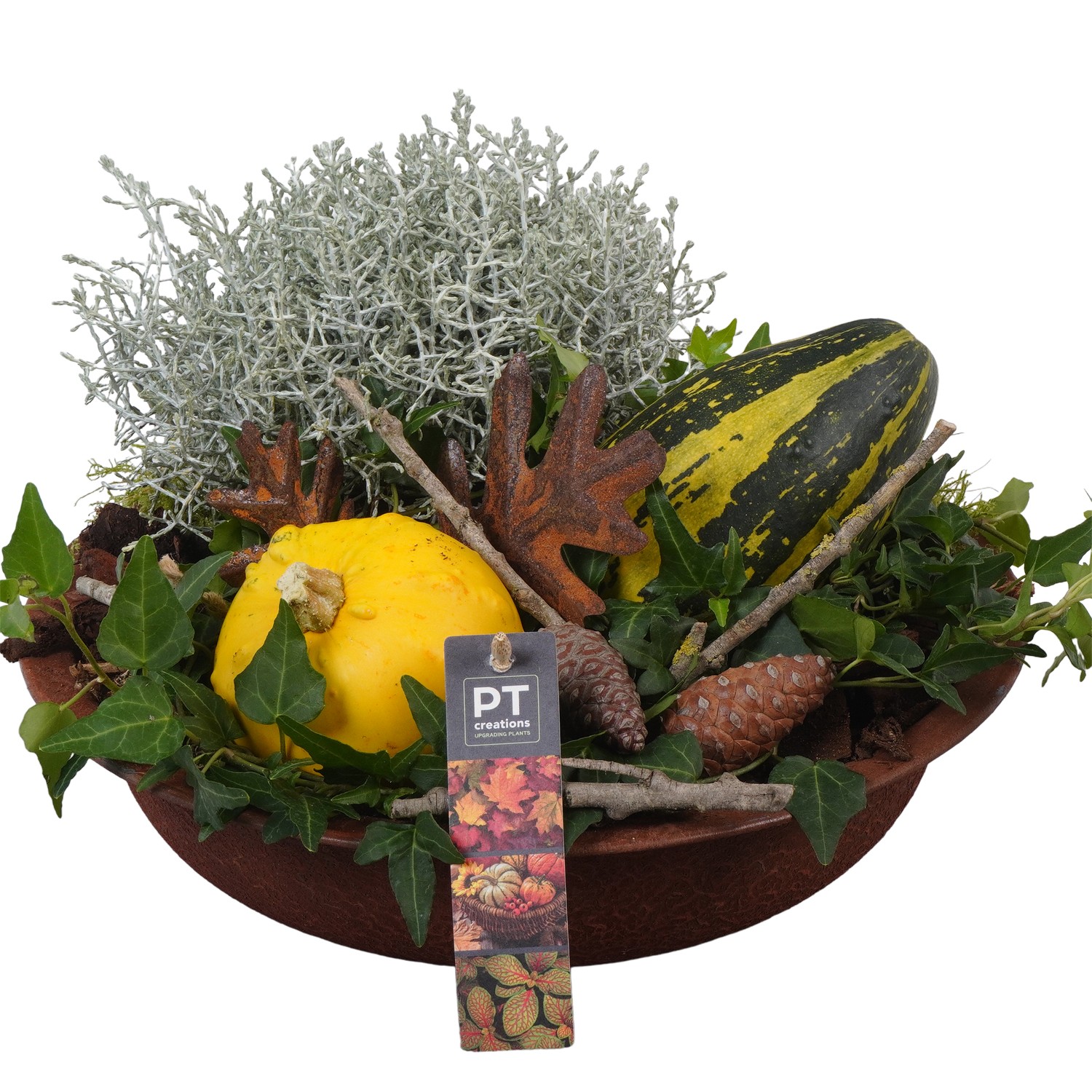 Picture of PTKBH5302 Arrangement Autumn Fruits in metal bowl P30 23cm