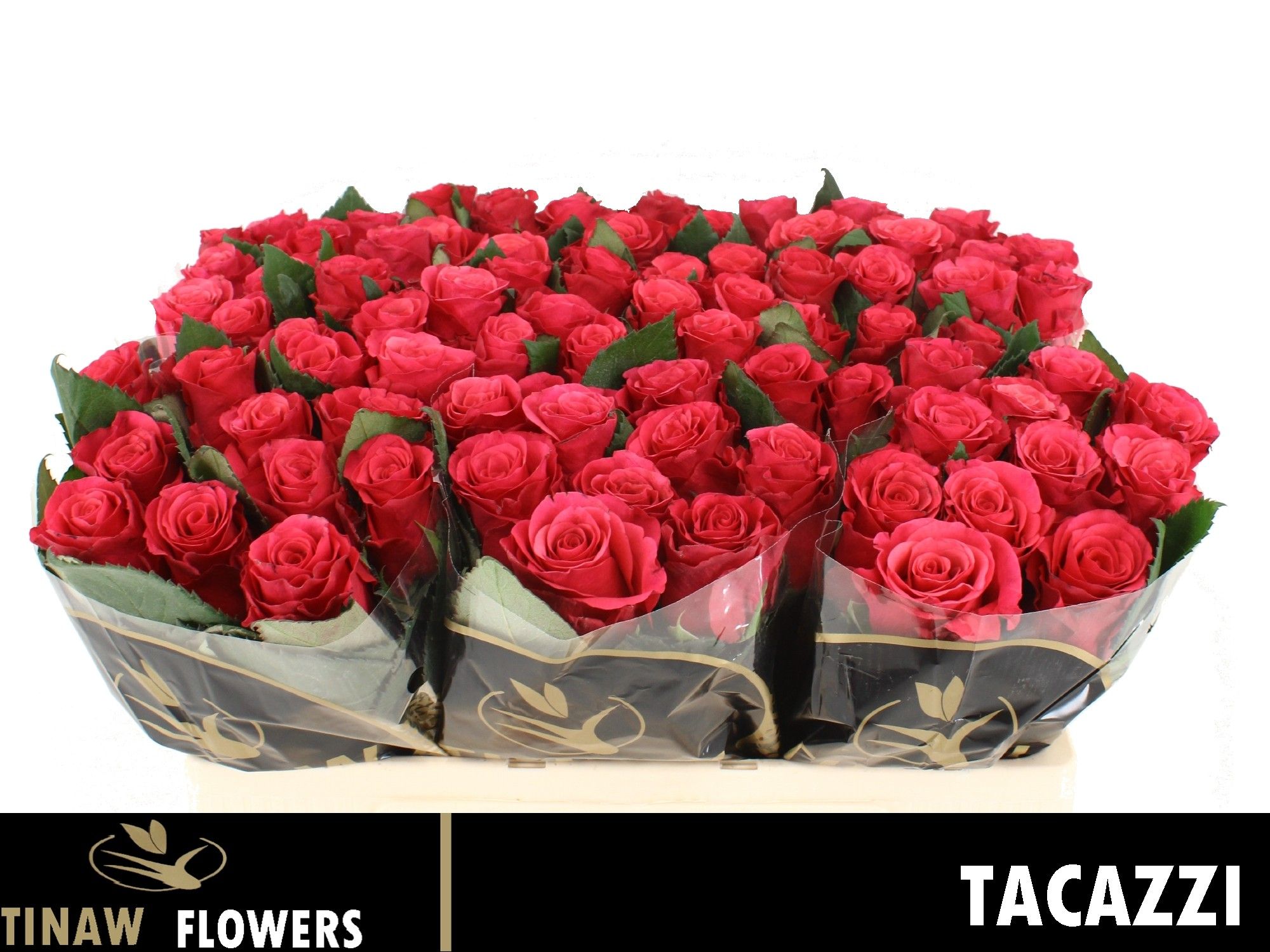 R Gr Tacazzi+