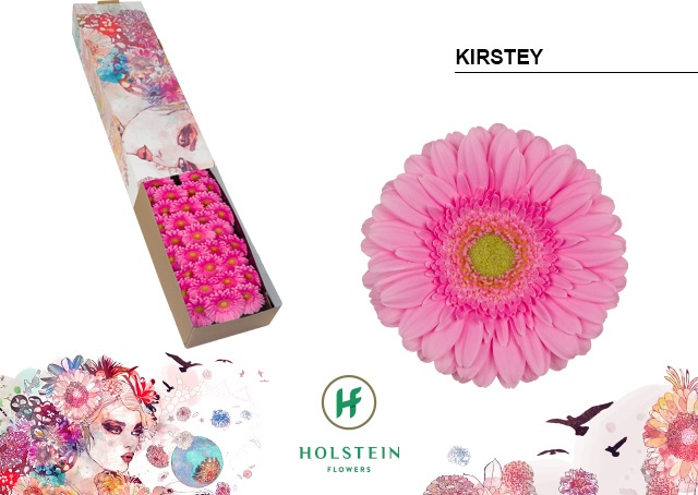 Ge Mi Kirstey