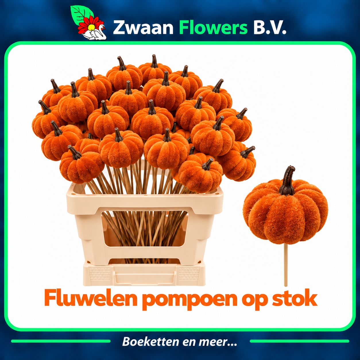 Huis En Tuindeco H%