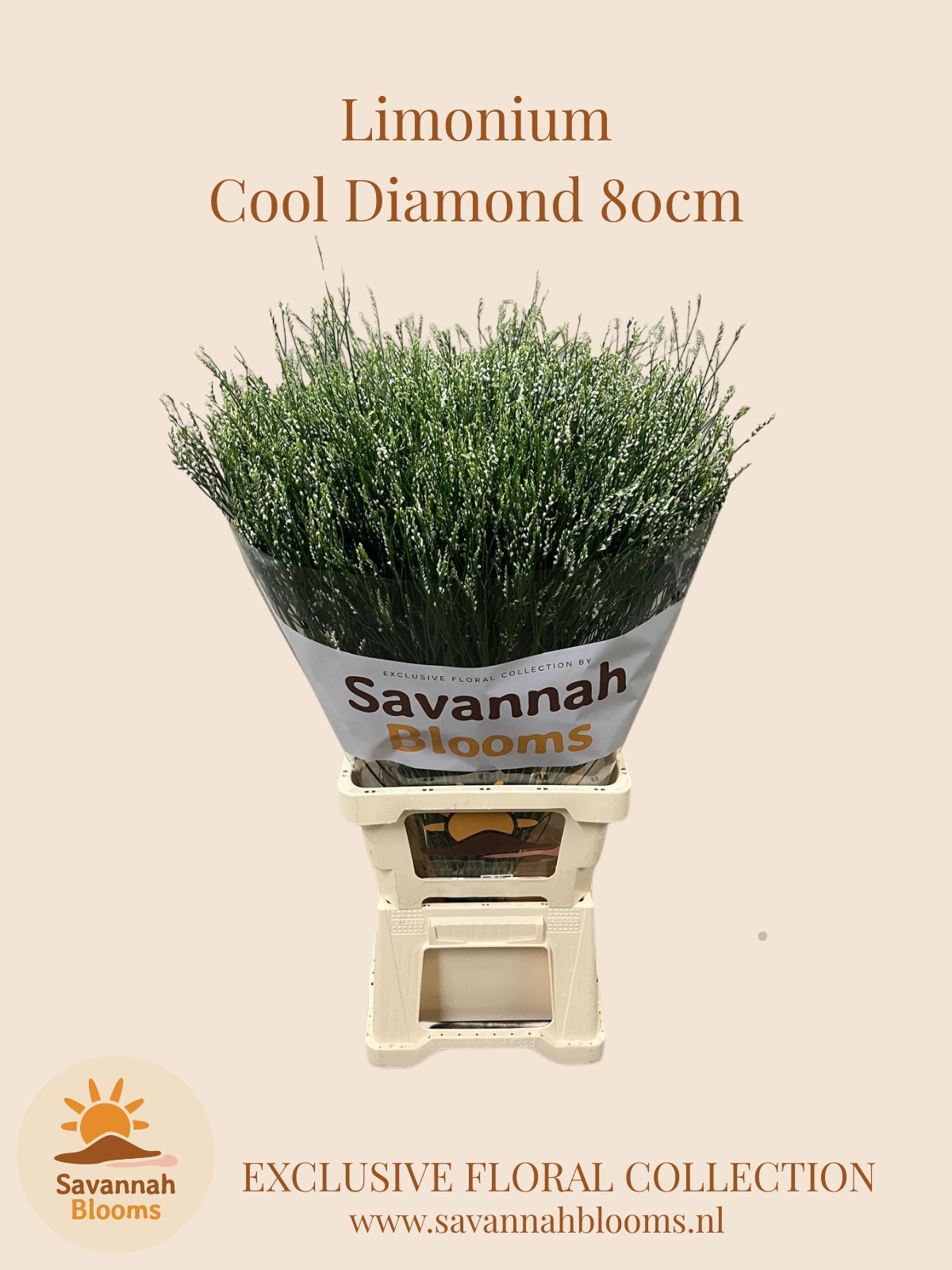 Lim Sin Cool Diamond