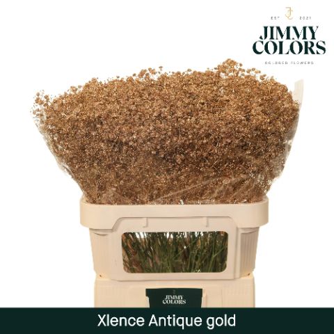 Gyps Xlence L80 Mtlc. Antique Gold