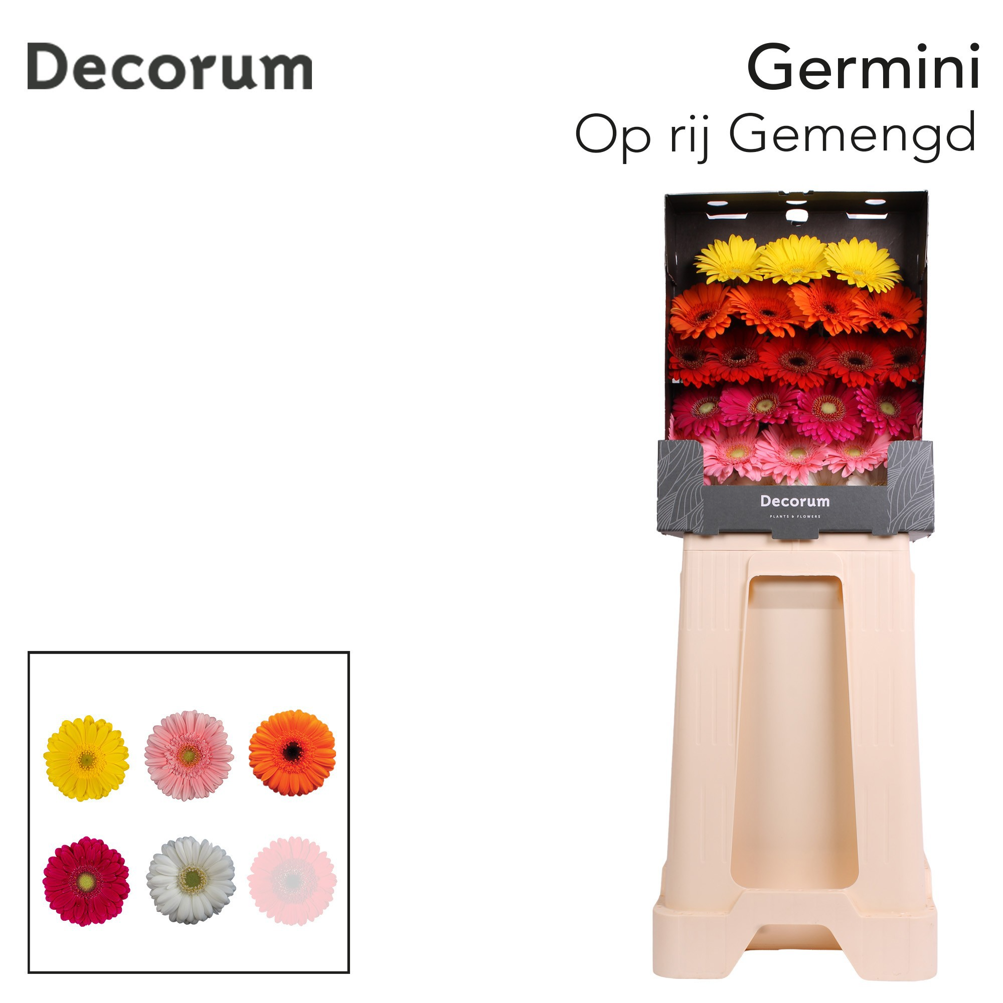 Ge Mi Op Rij Gem