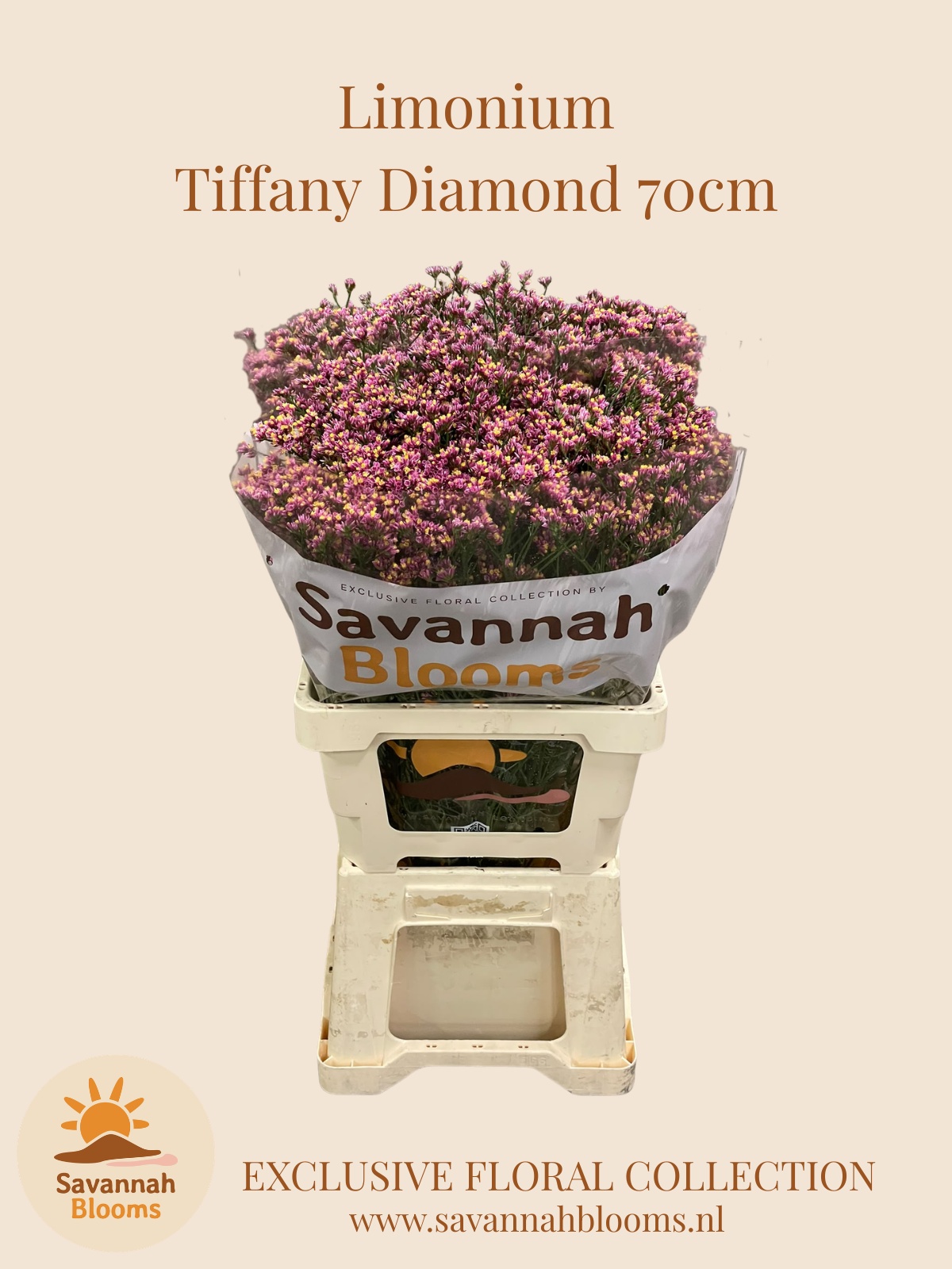 Limonium Sin Tiffany Diamond 70cm 35gram