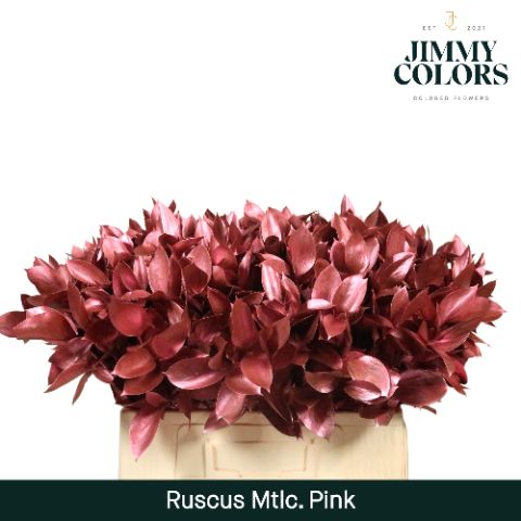 Ruscus L60 Mtlc. Pink