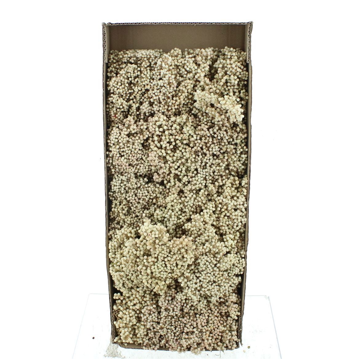 Schinus M Dec Bes Bs 30cm 200gram