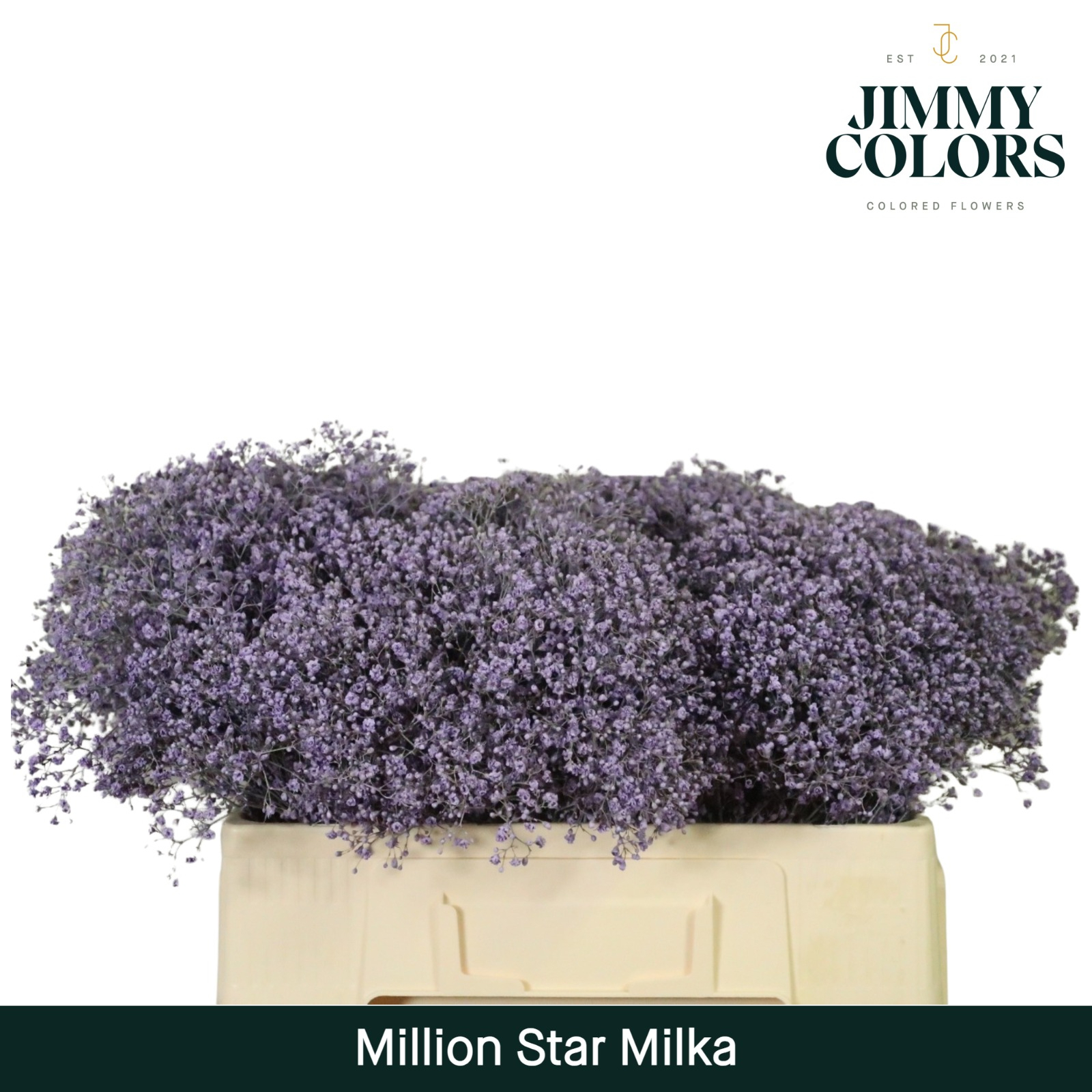 Gyps Million Star L50 Milka