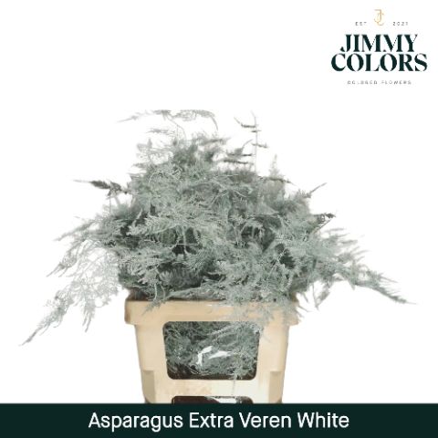 Aspa Extra Veren White