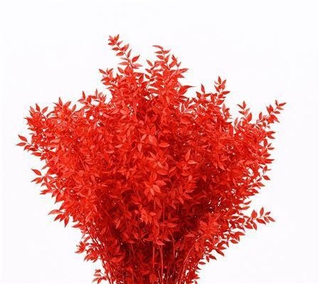 Dried/preserved Flowers Misc 70cm 18gram
