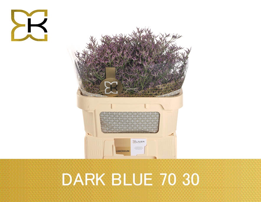 Lim Saf Dark Blue