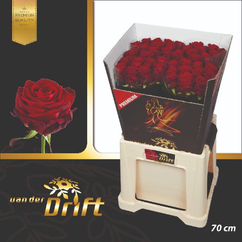 R Gr Red Naomi!