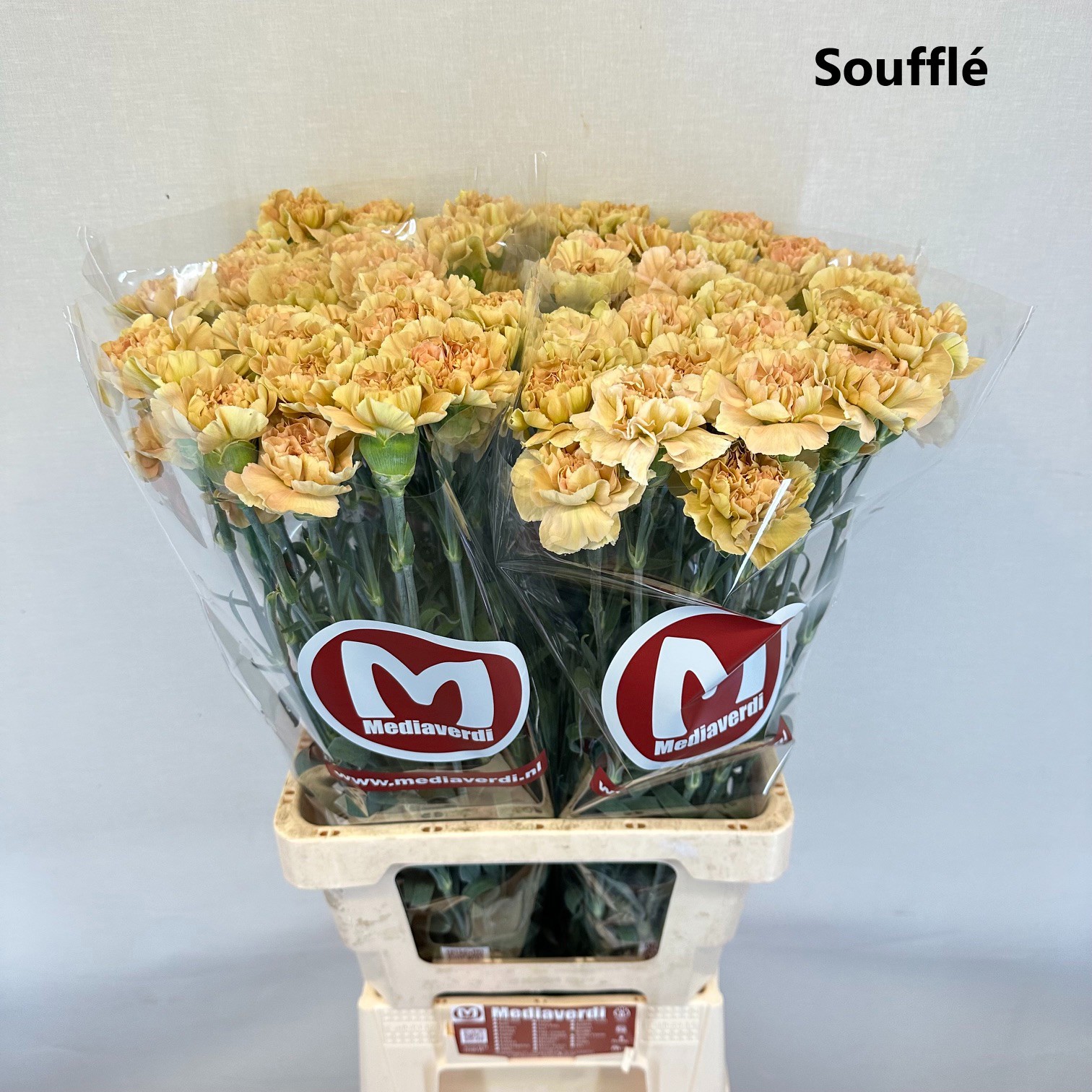Di St Soufflé
