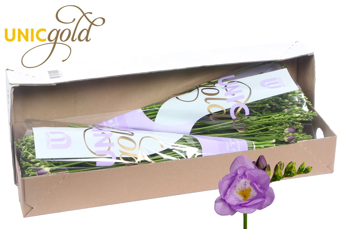 Ug Barendse - Allure Box