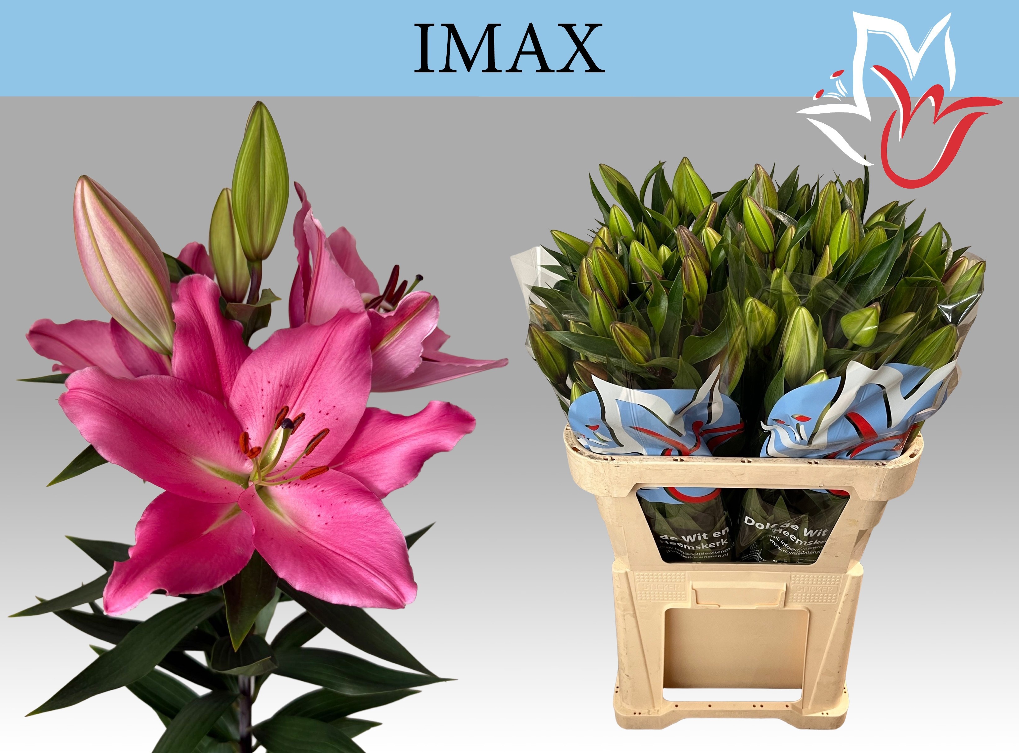 Li Or Imax