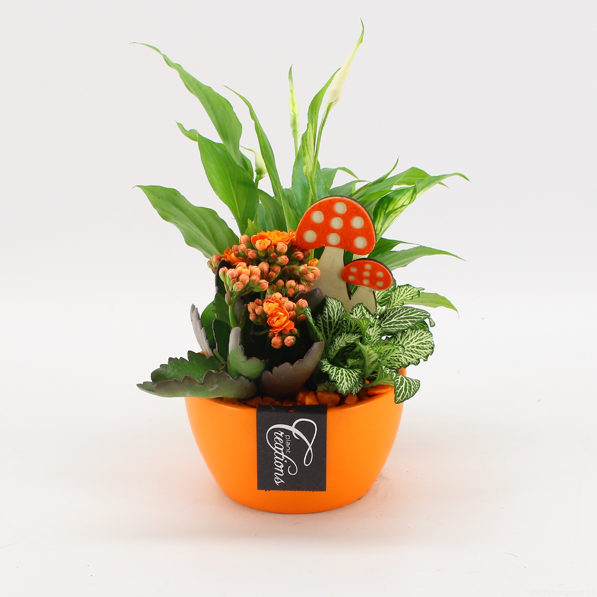 Picture of Arrangement indoor Autumn Fundamentals BHCR-2408 P14 30CM