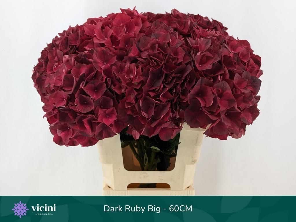 Hydrangea4937　0602 Antiqued Blue Pee Gee Hydrangea Faux Stem – Cailini Coastal