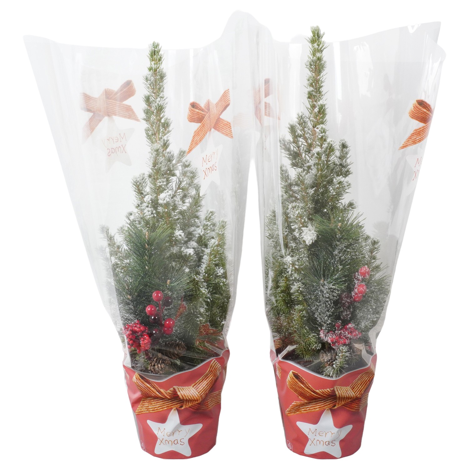 Picture of PTK24406 Picea Conica Perfecta with snow Xmas sleeve decoration P13 45cm