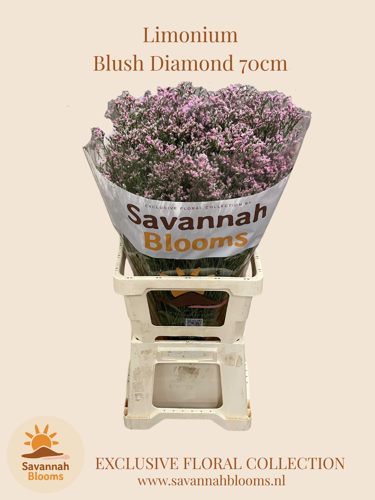 Limonium Sin Blush Diamond 70cm 35gram