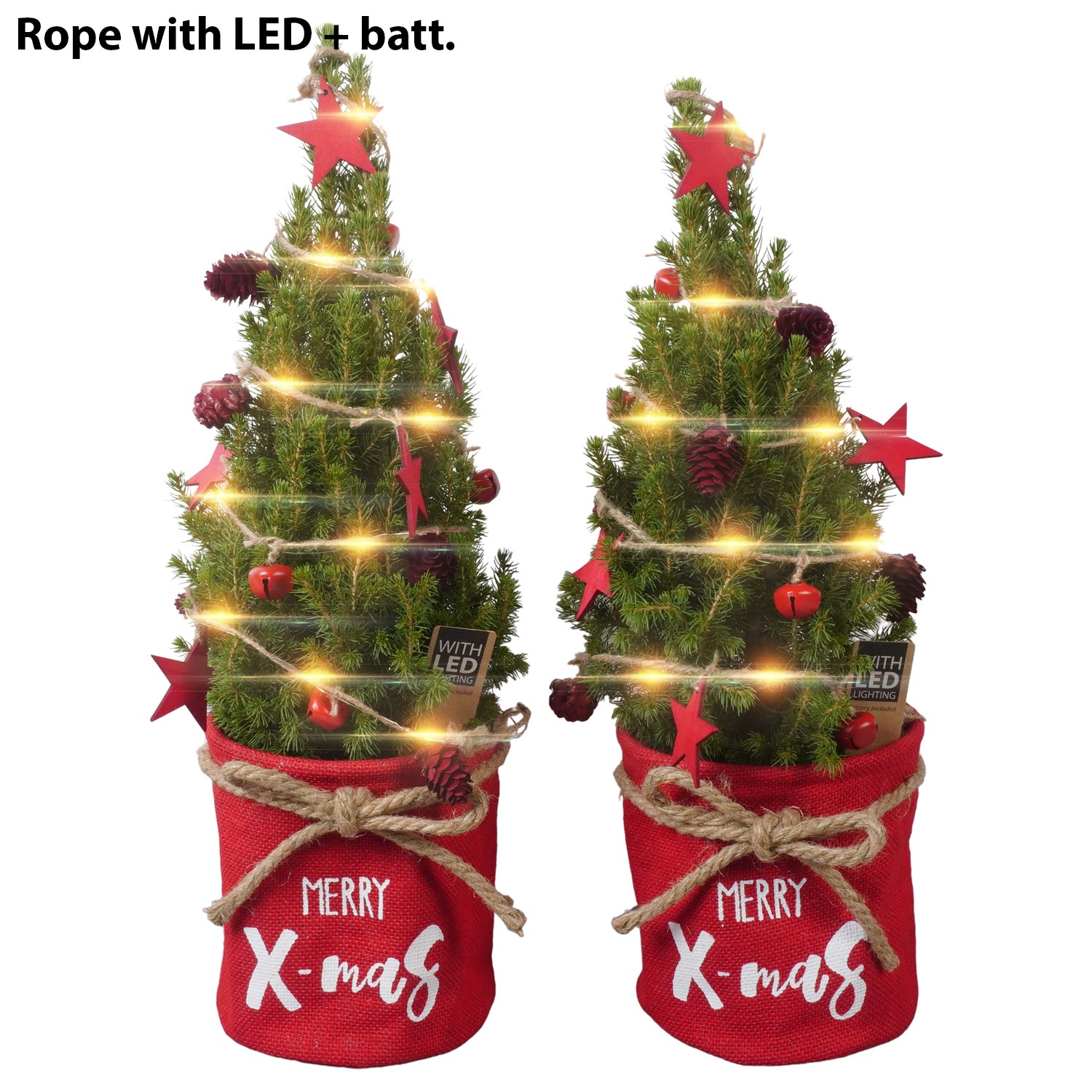 Picture of PTK24523 Picea Conica Perfecta in cloth decoration LED P15 50CM