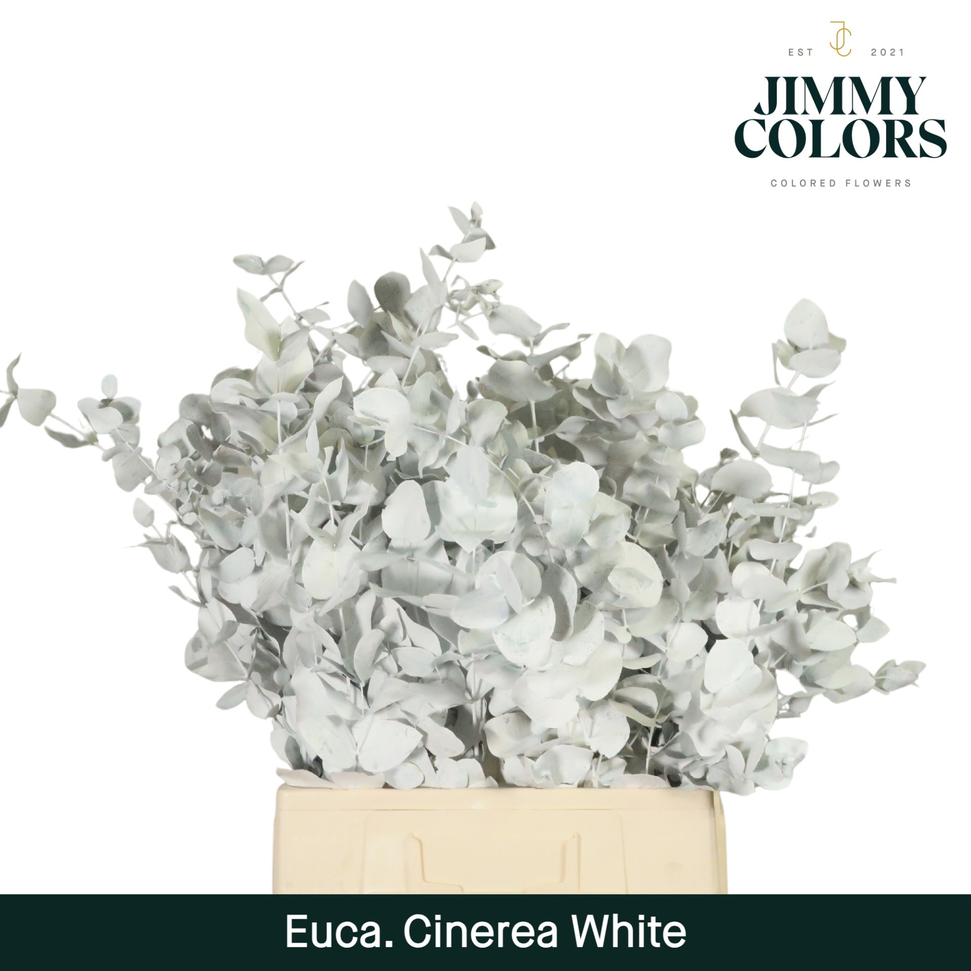 Cinerea Per Bos 200g White