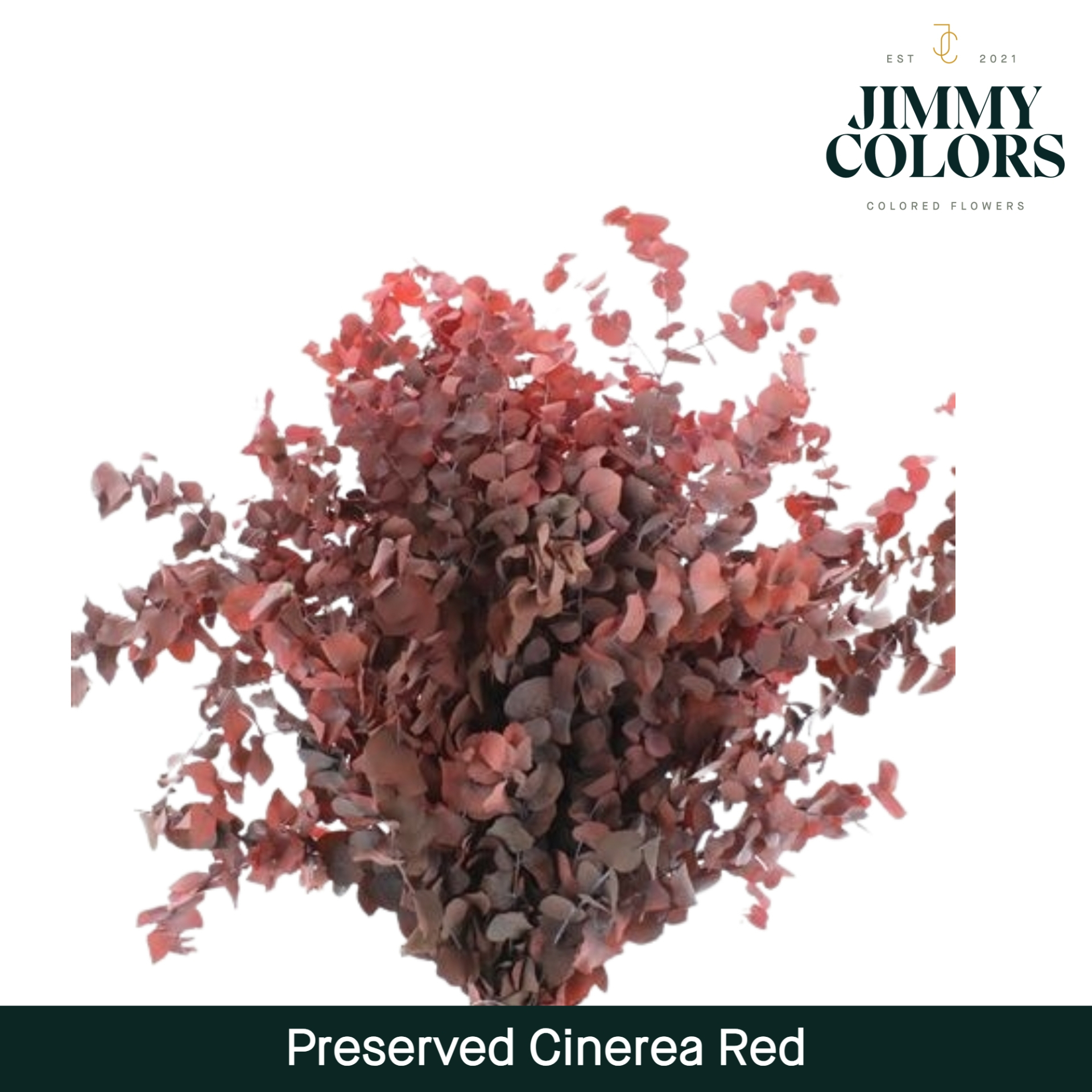 Preserved Cinerea Red
