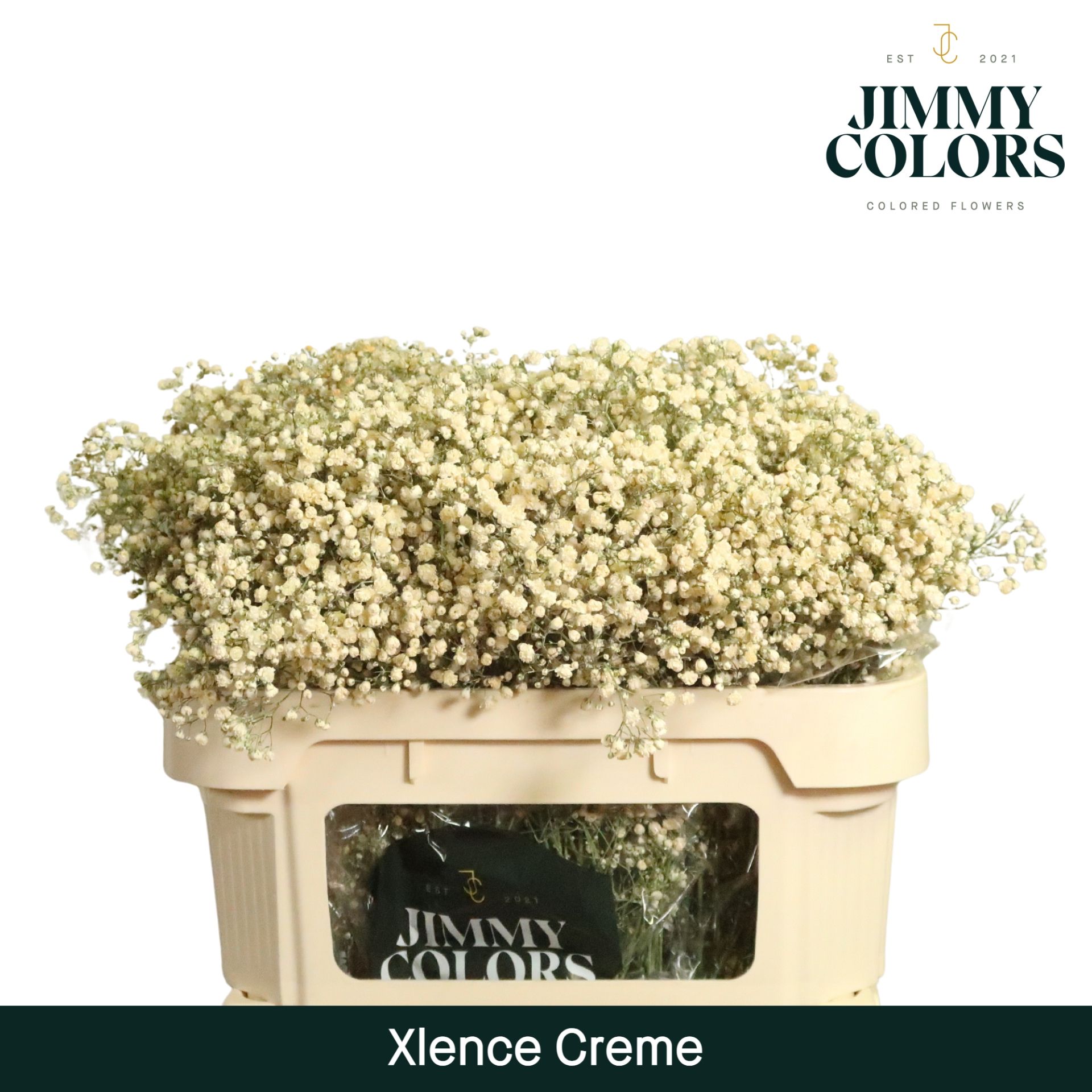 Gyps Xlence L70 Creme