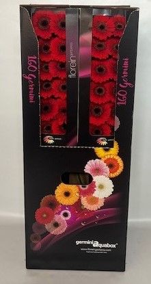 Ge Mi Red Ruby Aquabox *160