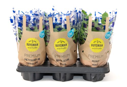 Keukenkruiden Mix p12 Buysman